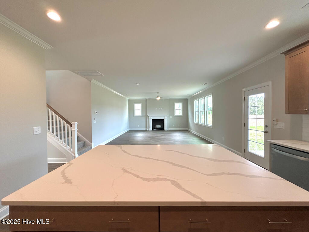 808 Tupelo Tree Drive Hubert, NC 28539 - Photo 14 of 65 IMG-4876-jpg