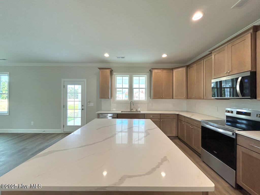 808 Tupelo Tree Drive Hubert, NC 28539 - Photo 25 of 65 IMG-4885-jpg