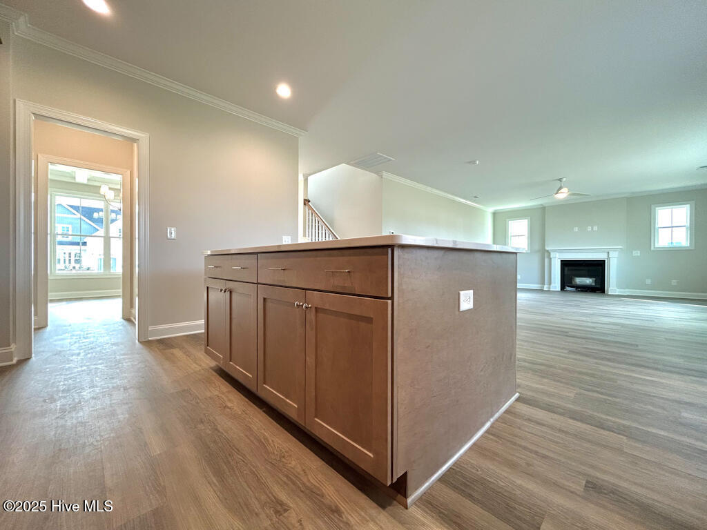 808 Tupelo Tree Drive Hubert, NC 28539 - Photo 28 of 65 IMG-4892-jpg