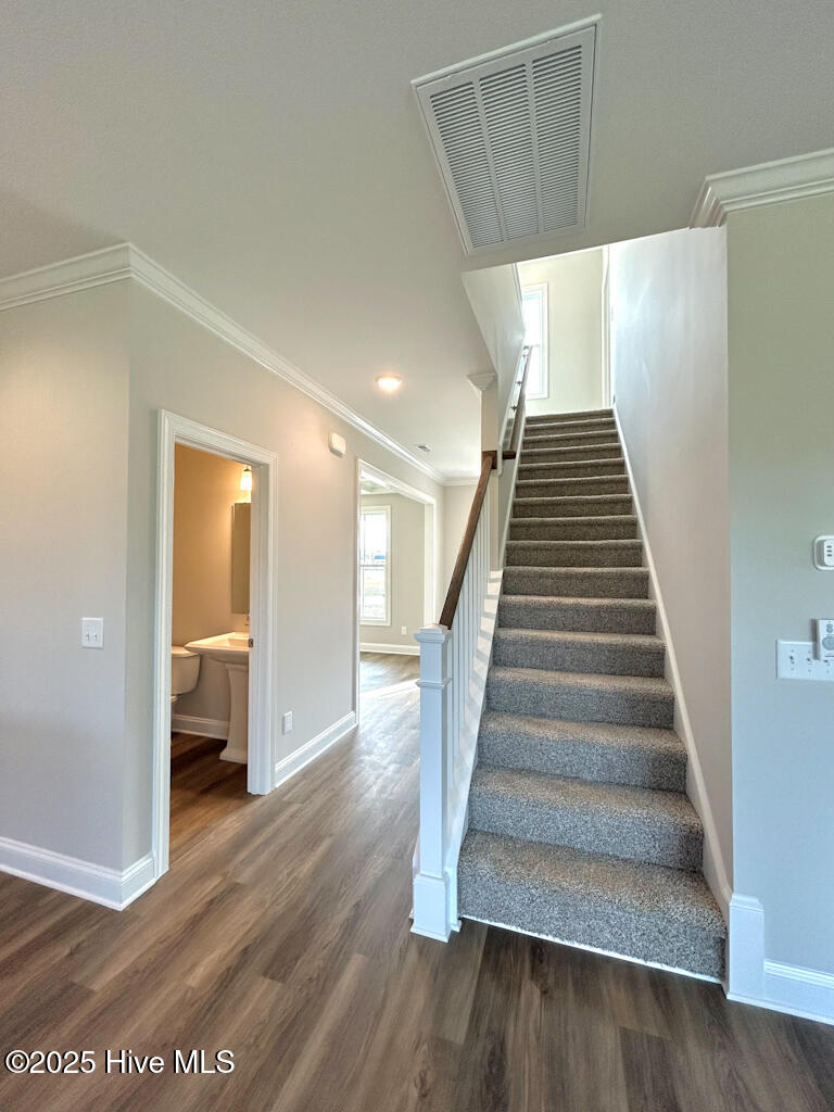 808 Tupelo Tree Drive Hubert, NC 28539 - Photo 32 of 65 IMG-4896-jpg