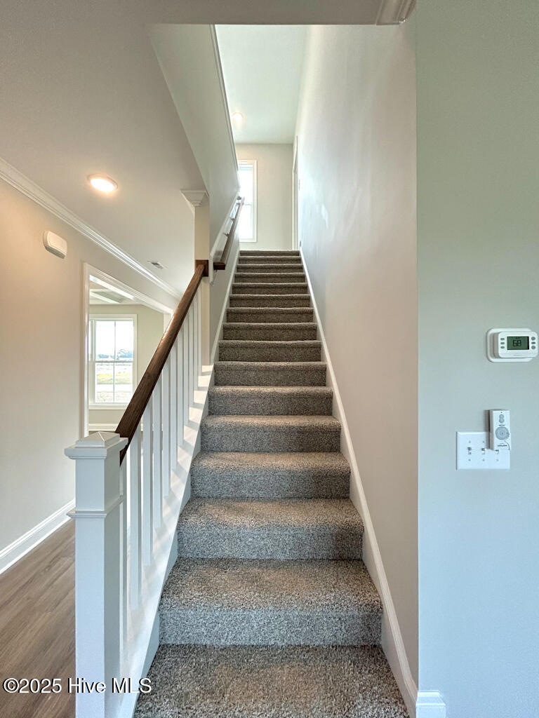 808 Tupelo Tree Drive Hubert, NC 28539 - Photo 34 of 65 IMG-4898-jpg