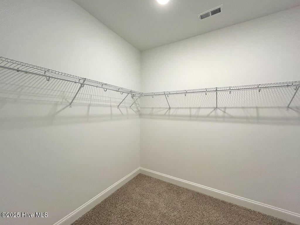 808 Tupelo Tree Drive Hubert, NC 28539 - Photo 48 of 65 IMG-4916-jpg