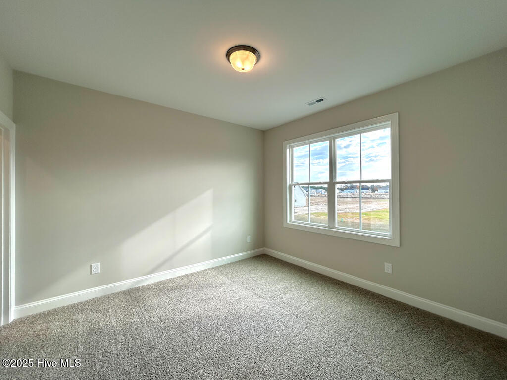 808 Tupelo Tree Drive Hubert, NC 28539 - Photo 49 of 65 IMG-4918-jpg