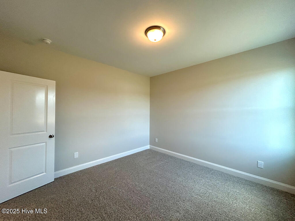 808 Tupelo Tree Drive Hubert, NC 28539 - Photo 59 of 65 IMG-4928-jpg