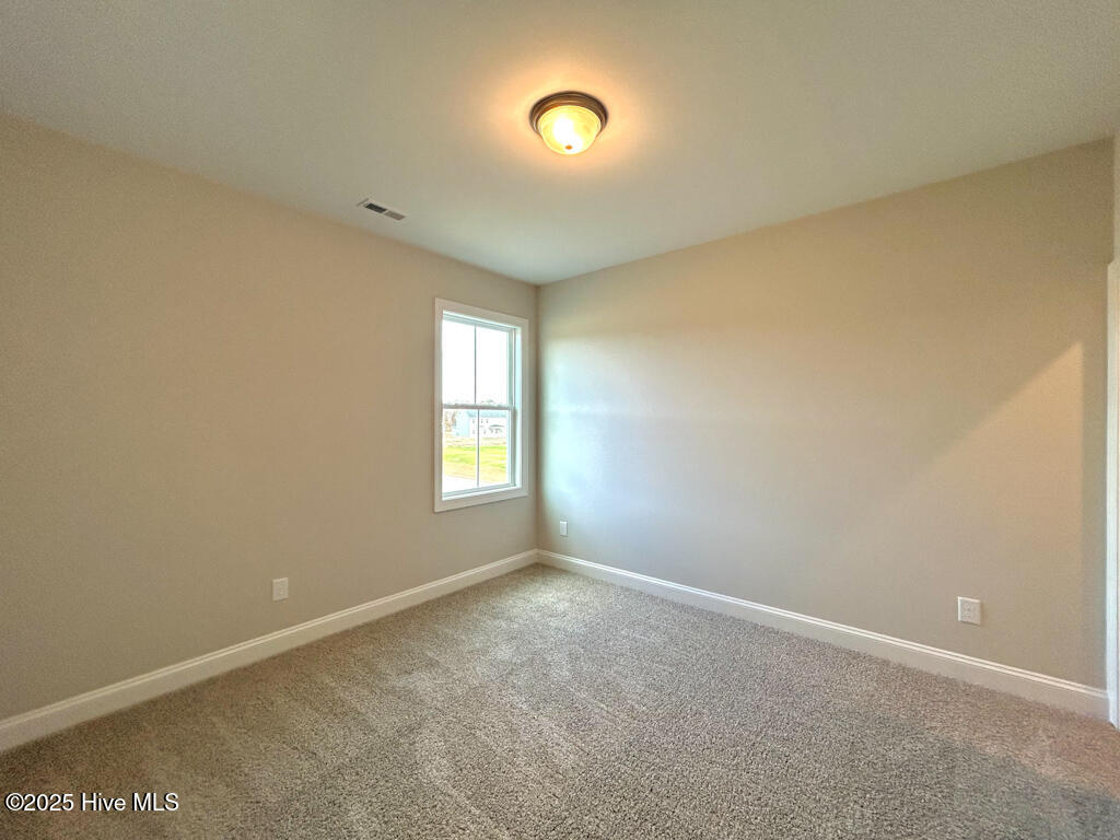 808 Tupelo Tree Drive Hubert, NC 28539 - Photo 60 of 65 IMG-4929-jpg