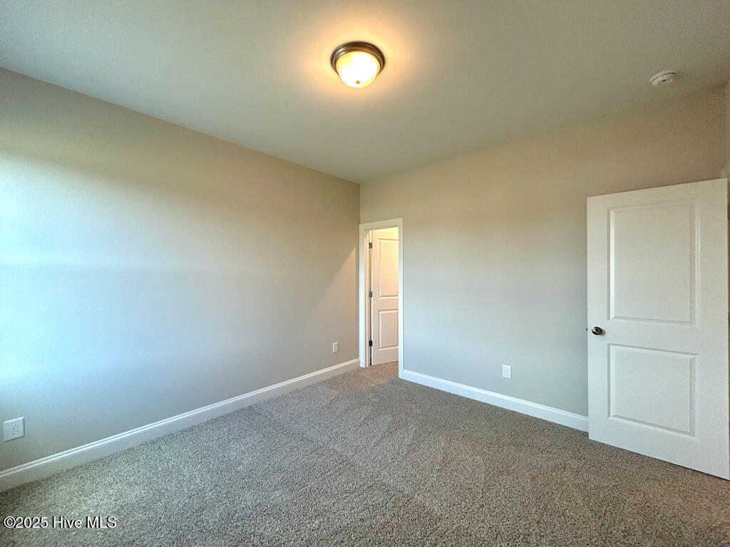 808 Tupelo Tree Drive Hubert, NC 28539 - Photo 61 of 65 IMG-4930-jpg