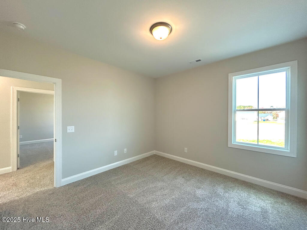 808 Tupelo Tree Drive Hubert, NC 28539 - Photo 63 of 65 IMG-4932-jpg