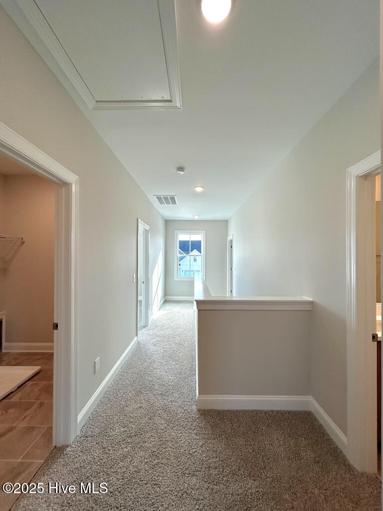 808 Tupelo Tree Drive Hubert, NC 28539 - Photo 64 of 65 IMG-4934-jpg