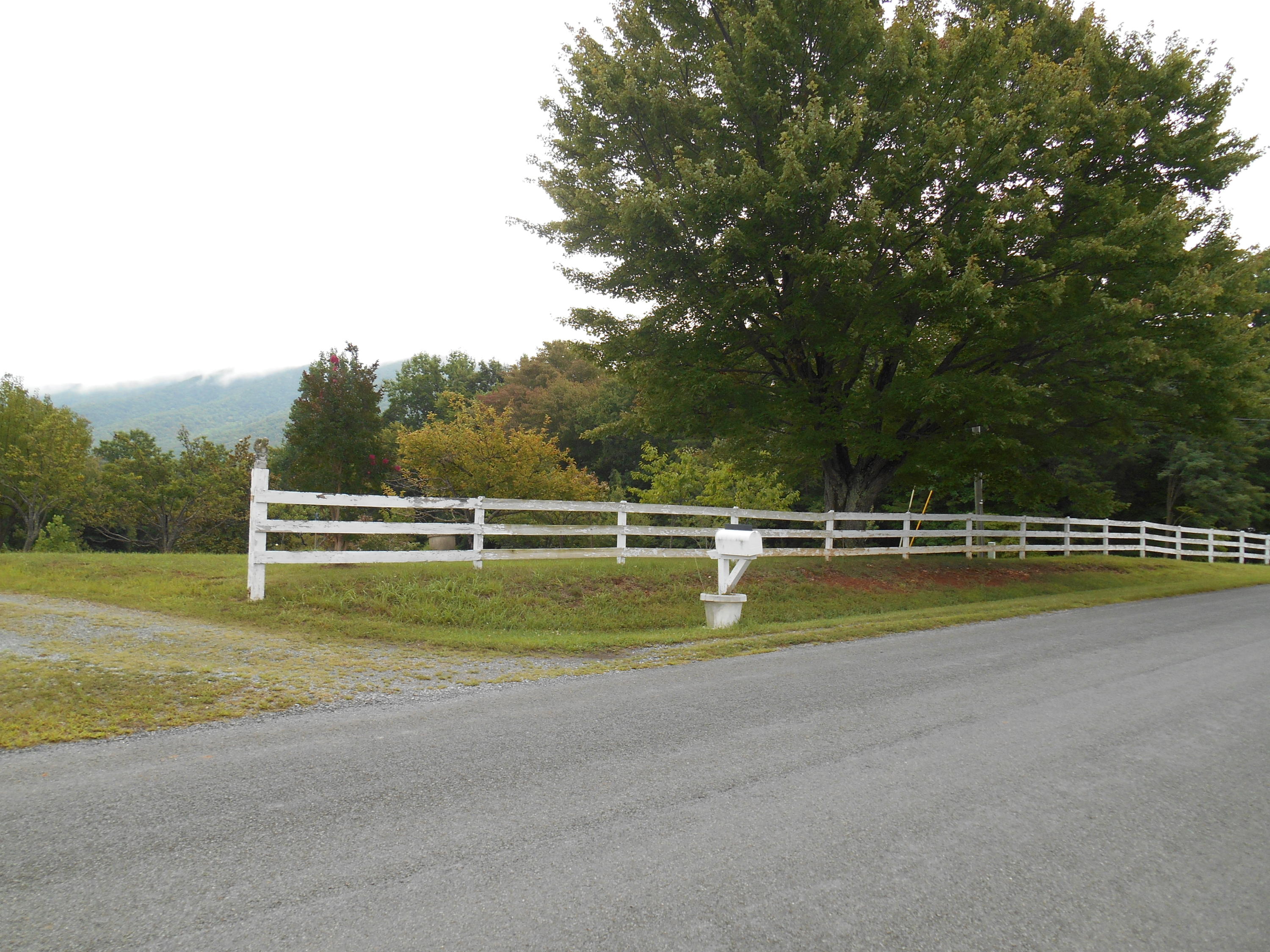 384 Lakeside Road Penhook, VA 24137 - Photo 3 of 24 a view of swimming pool with a yard and large trees