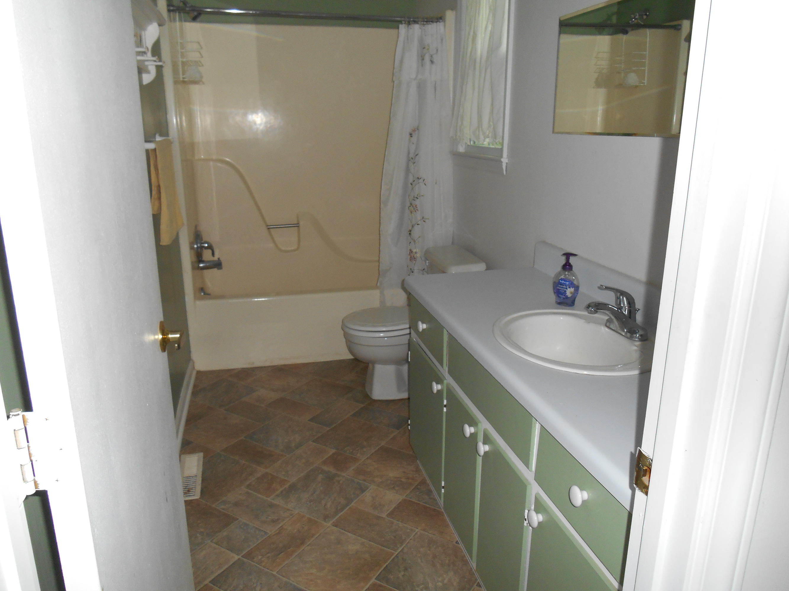 384 Lakeside Road Penhook, VA 24137 - Photo 4 of 24 a bathroom with a sink a toilet and shower