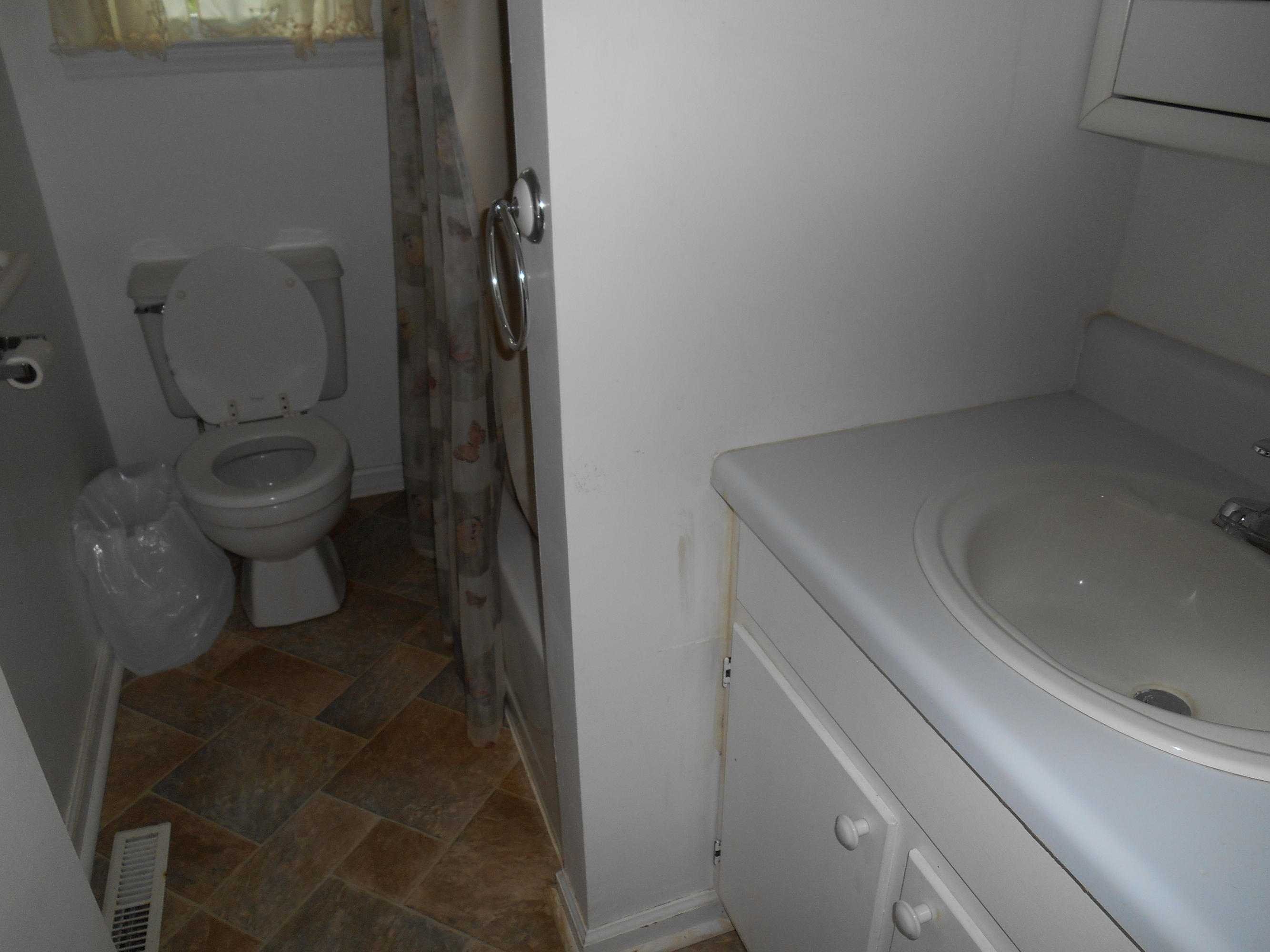 384 Lakeside Road Penhook, VA 24137 - Photo 5 of 24 a bathroom with a sink and toilet