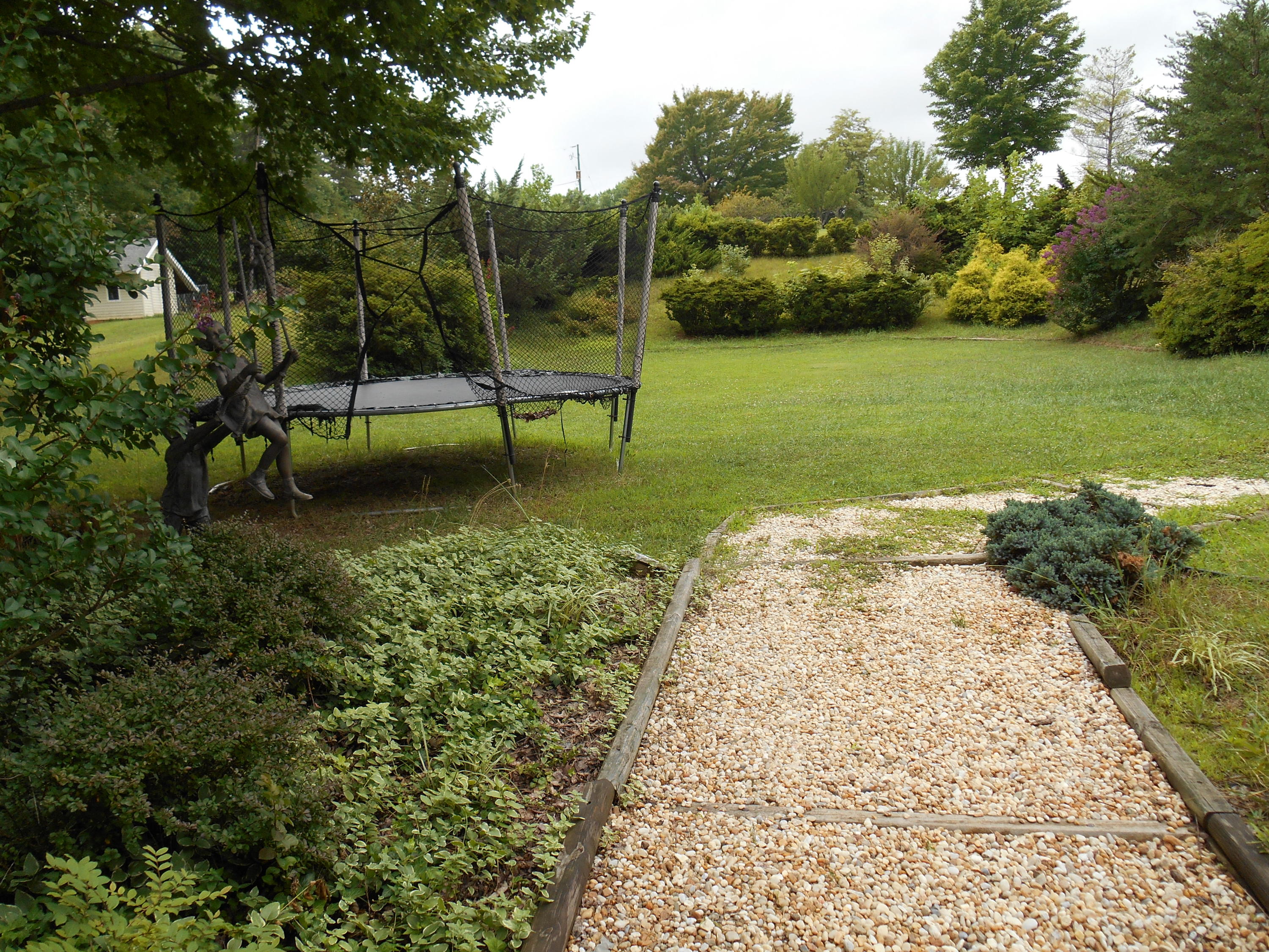 384 Lakeside Road Penhook, VA 24137 - Photo 6 of 24 a view of a garden with a lake