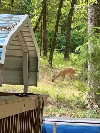 $195,000 | 331 Private Road 5387, Yantis, TX 75497