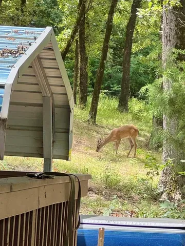 $230,000 | 331 Private Road 5387, Yantis, TX 75497