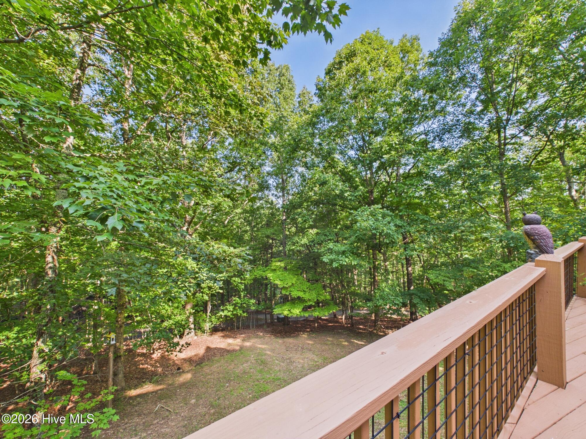 121 High Ridge Road Murphy, NC 28906 - Photo 45 of 45 Gallery Image 45