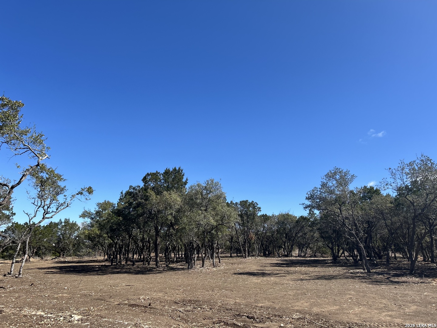 717 Roessler Way Bulverde, TX 78163 - Photo 3 of 8