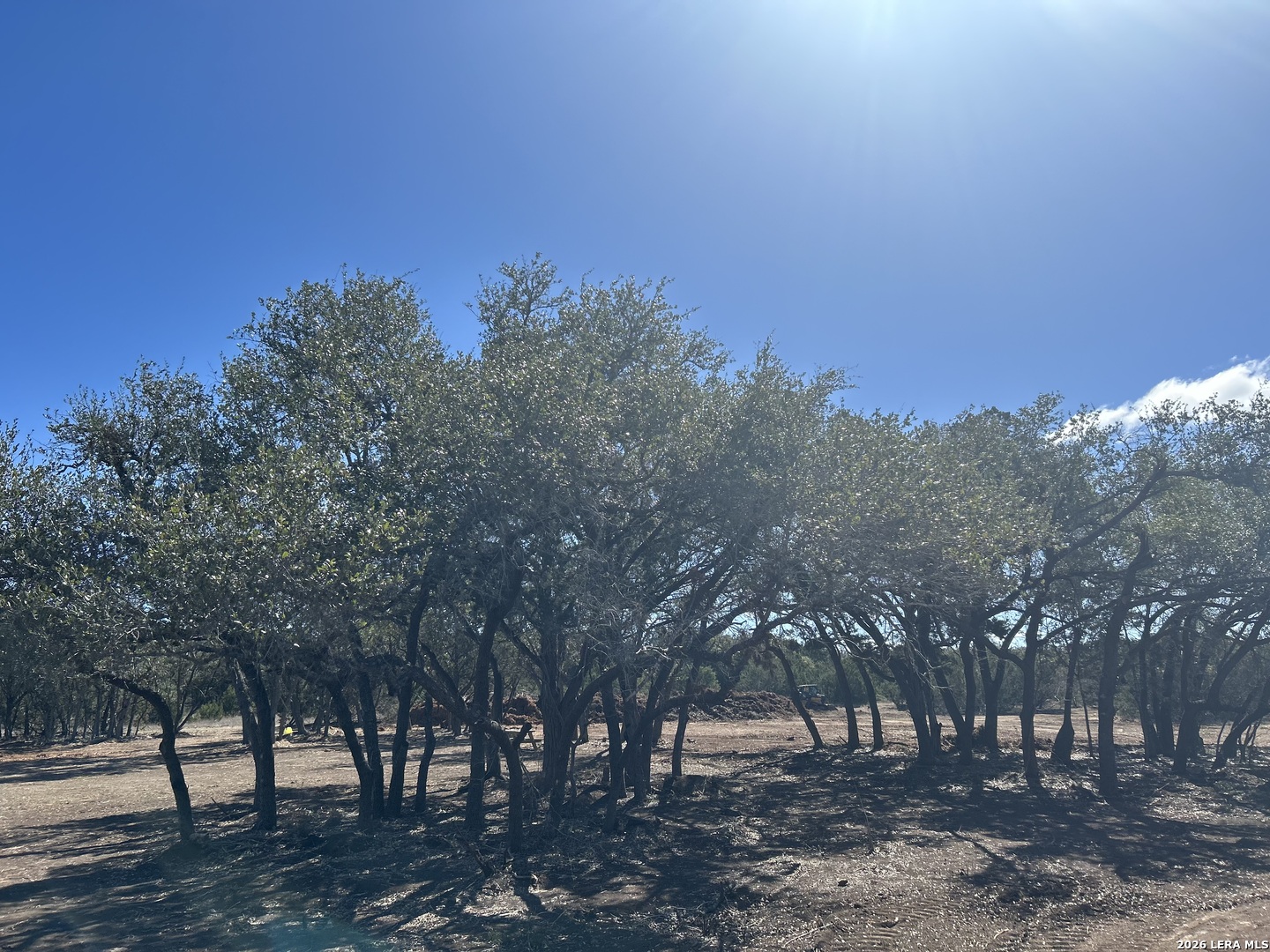 717 Roessler Way Bulverde, TX 78163 - Photo 5 of 8