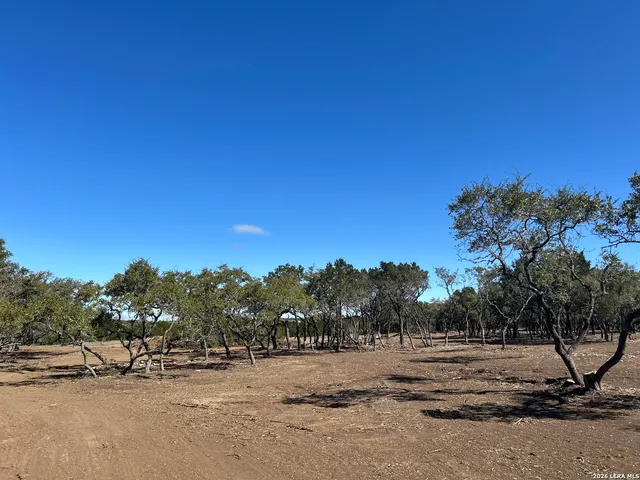 a view of dirt yard with a tree