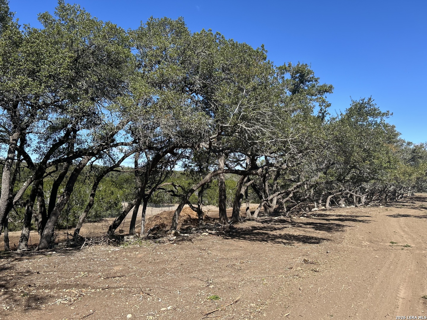 717 Roessler Way Bulverde, TX 78163 - Photo 7 of 8