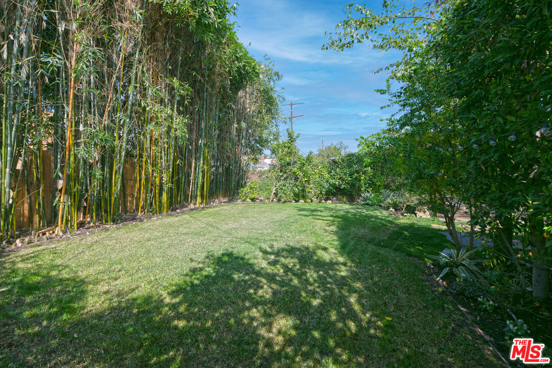 1657 South Point View Street Los Angeles, CA 90035 - Photo 46 of 50 a big yard with lots of green space and plants