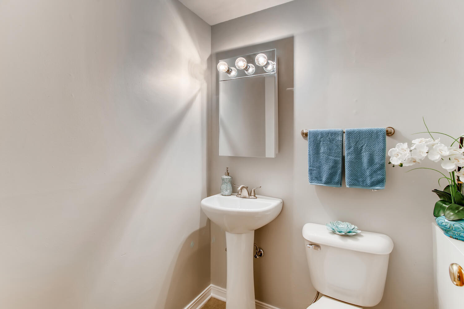 1611 Roslyn Road Roselle, IL 60172 - Photo 21 of 30