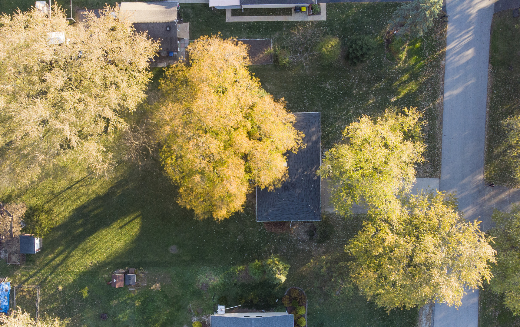1611 Roslyn Road Roselle, IL 60172 - Photo 30 of 30