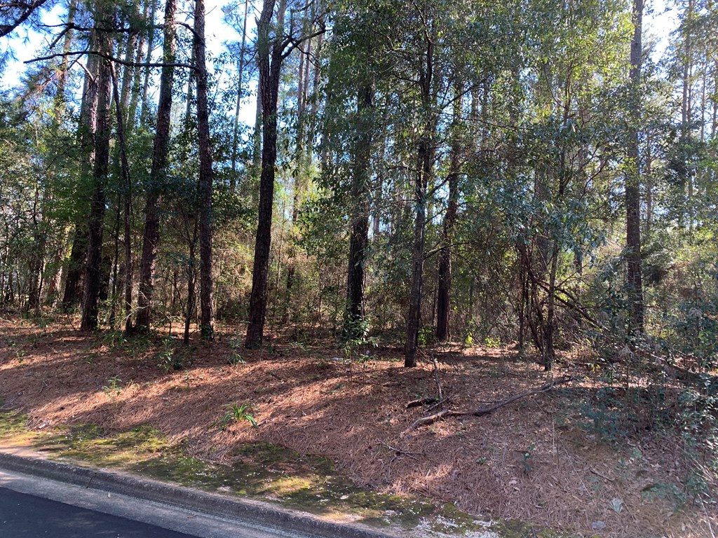 804 Liveoak Trail Dothan, AL 36305 - Photo 3 of 3