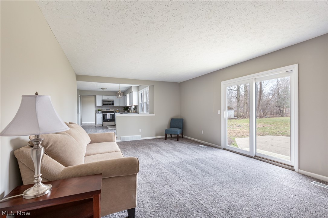 6658 Stoney Ridge Road North Ridgeville, OH 44039 - Photo 14 of 32