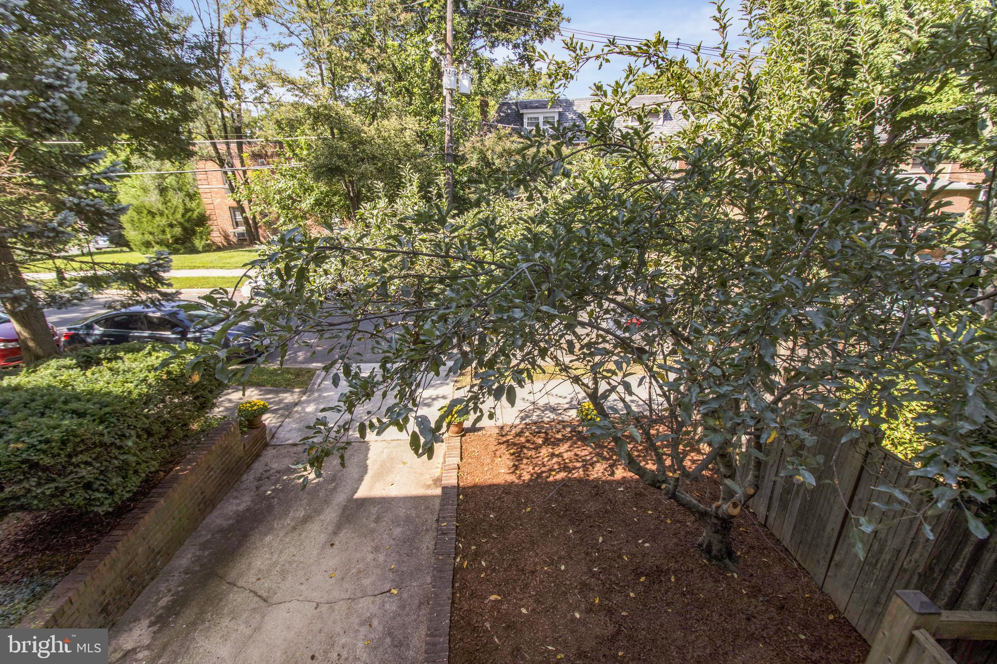 3833 Fulton Street Northwest Washington, DC 20007 - Photo 79 of 79