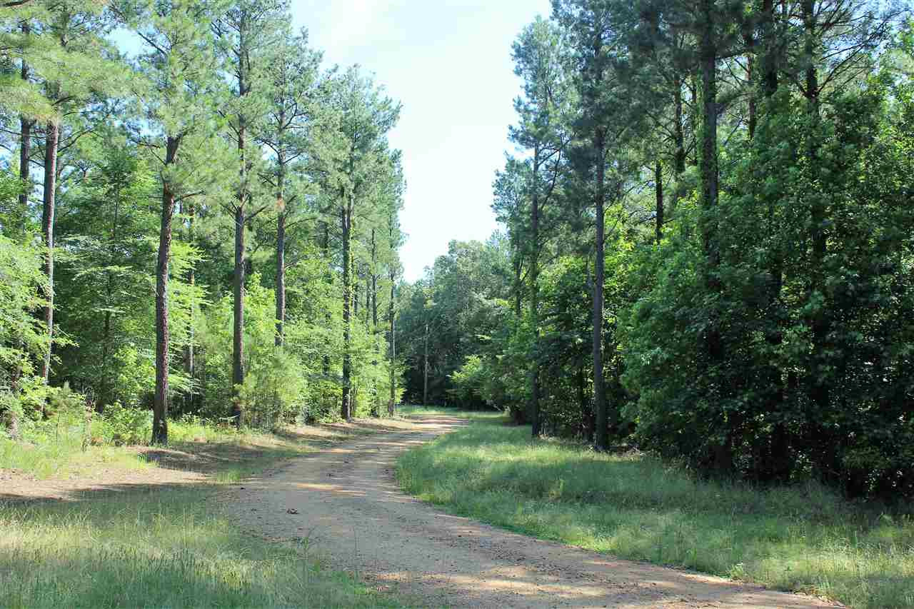 0 Fire Tower Road Enid, MS 38927 - Photo 5 of 44 Photo 5