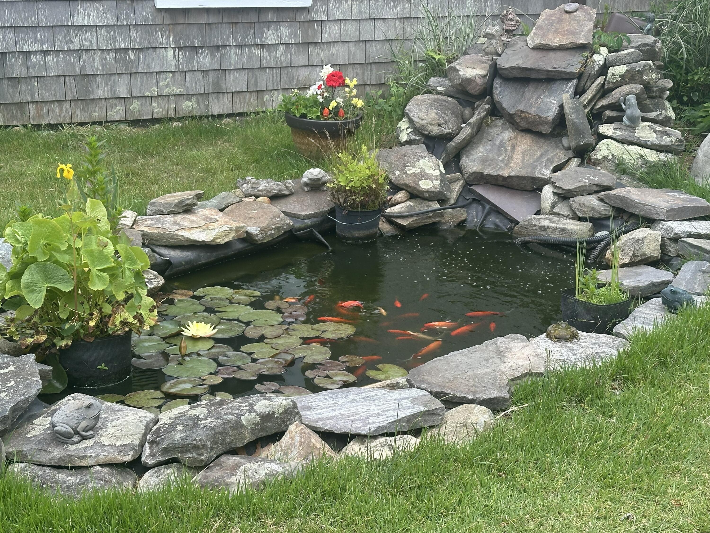16 Shore Road Truro, MA 02666 - Photo 48 of 70 IMG_1420