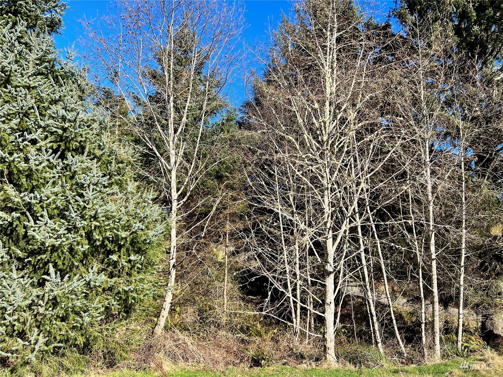 21-xx Reservoir Road Southwest Ilwaco, WA 98624 - Photo 4 of 5 Gallery Image 4