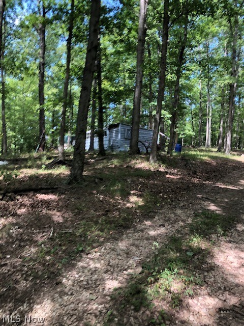 Chanteclair Road Cairo, WV 26337 - Photo 2 of 21