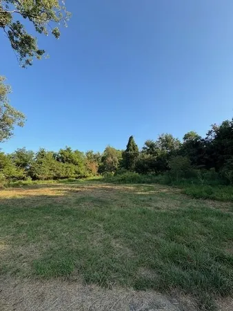 a view of a yard with a tree