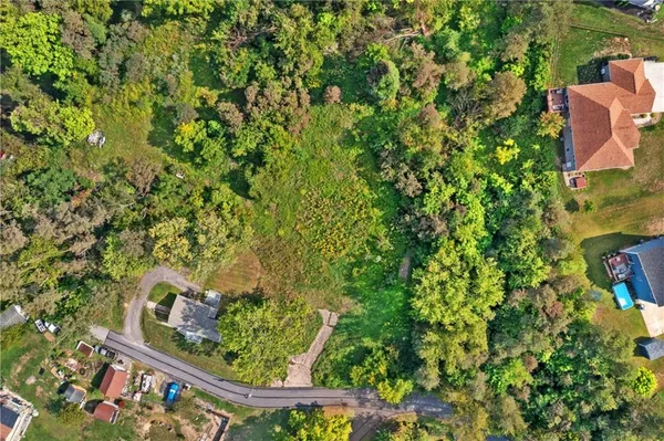 a view of a yard