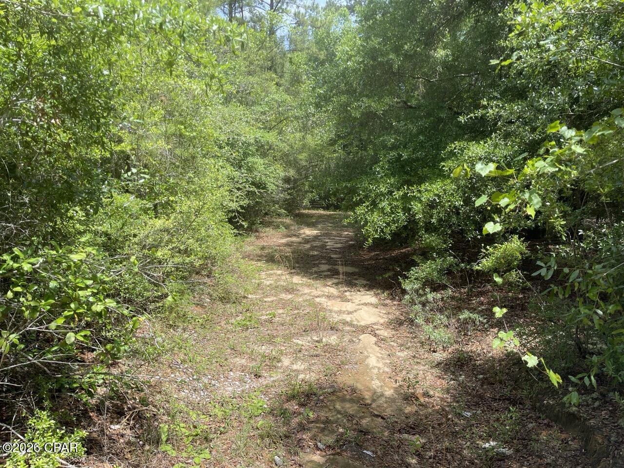 0 Avon Street Chipley, FL 32428 - Photo 5 of 15