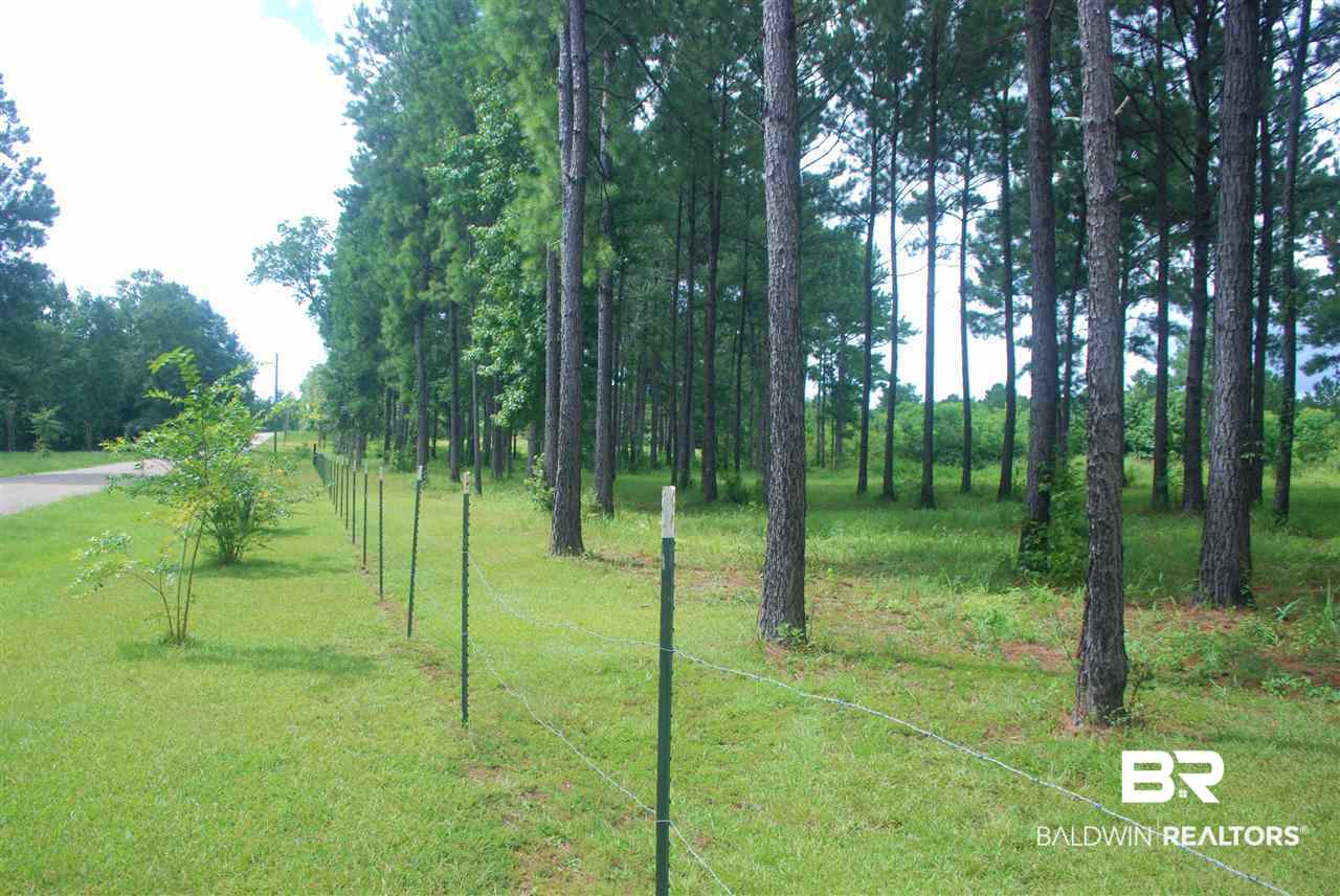 249 Camp Dixon Road Brewton, AL 36426 - Photo 32 of 48