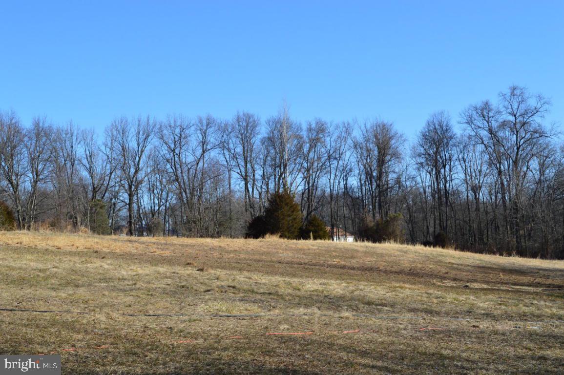 141 Governor Stable Road Elizabethtown, PA 17022 - Photo 8 of 36 Gallery Image 8