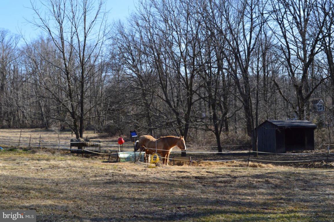 141 Governor Stable Road Elizabethtown, PA 17022 - Photo 10 of 36 Gallery Image 10