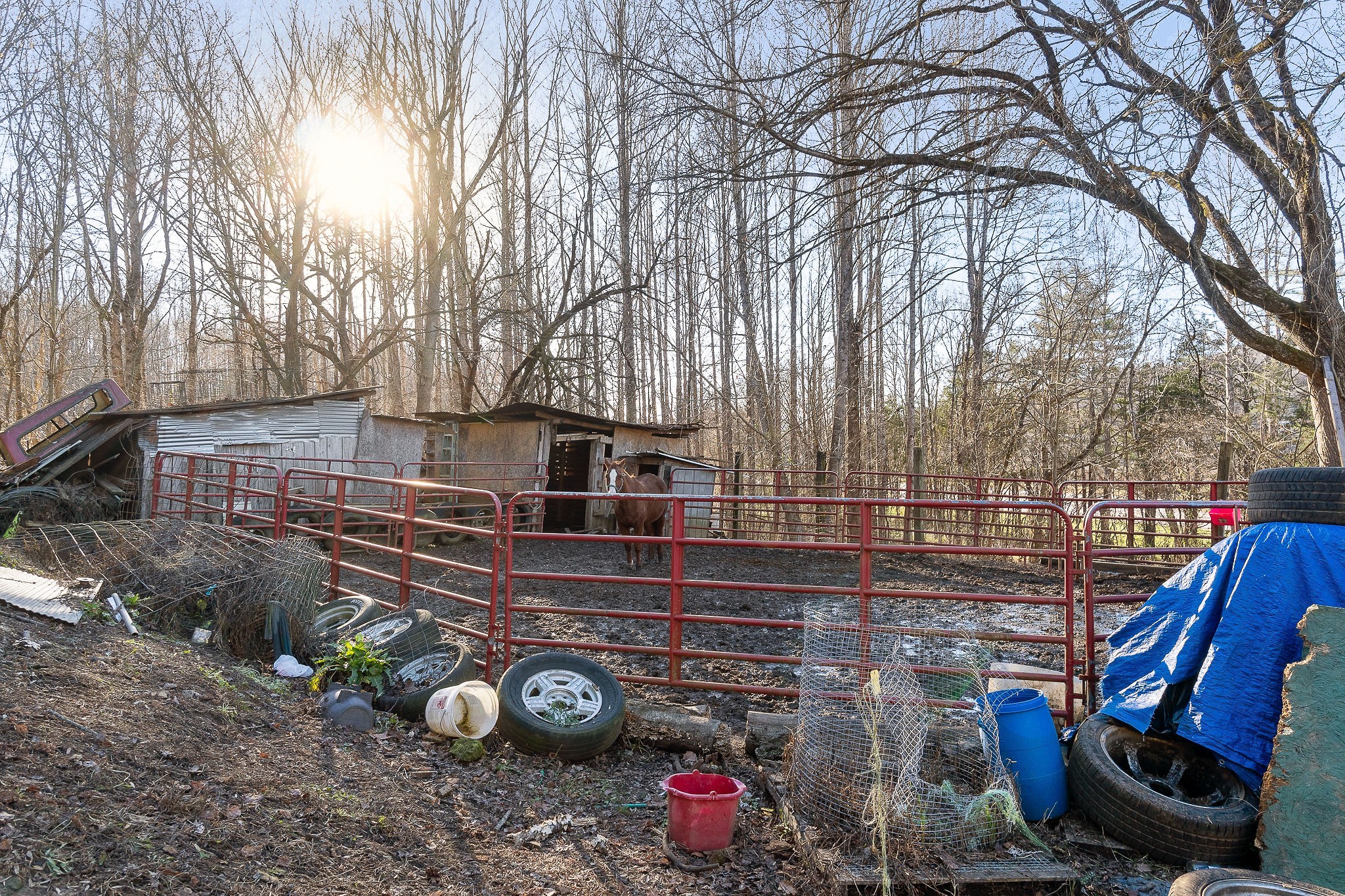 2184 Hyder Mountain Road Cookeville, TN 38506 - Photo 29 of 33 a view of a back yard of the house