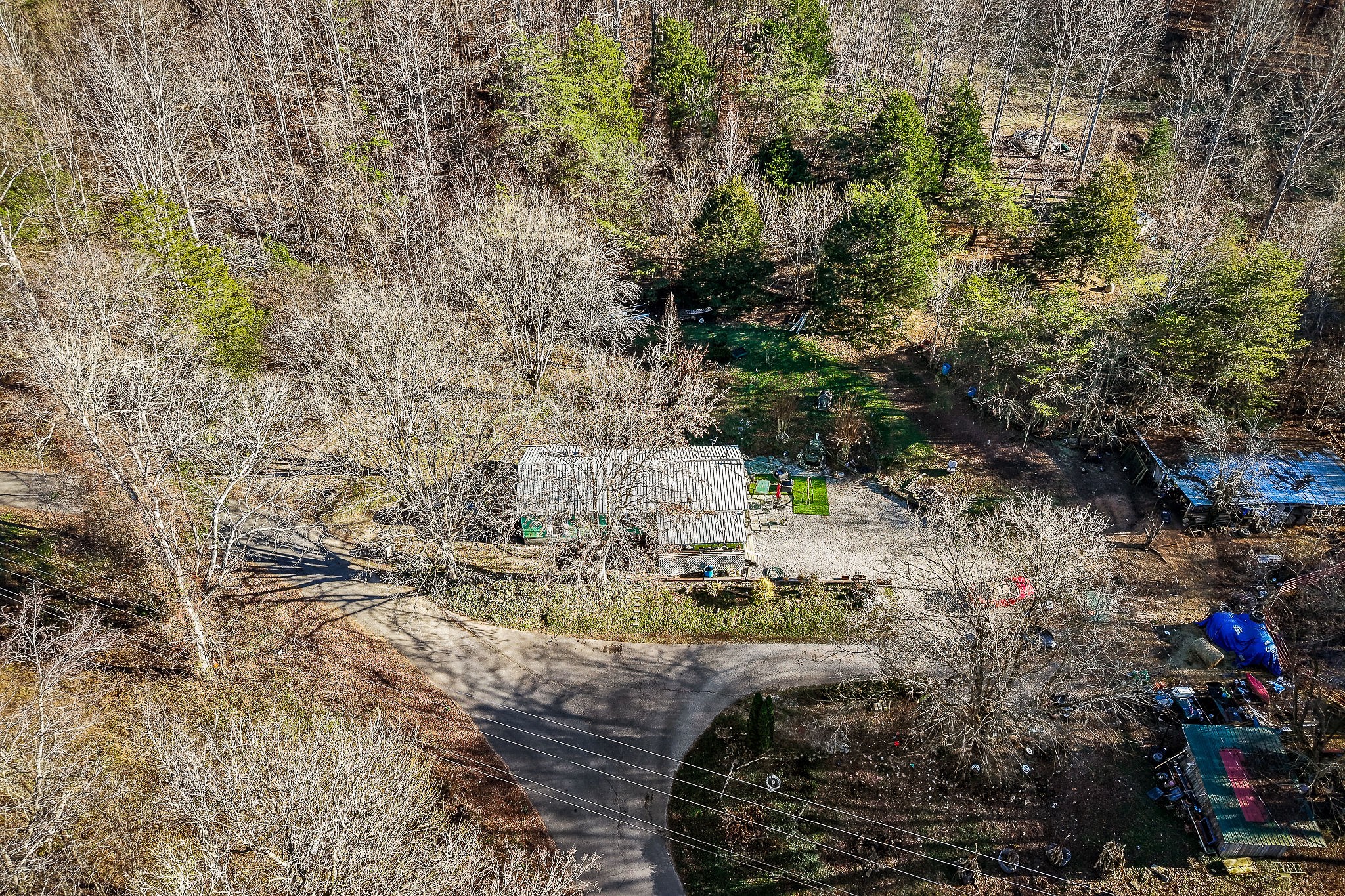 2184 Hyder Mountain Road Cookeville, TN 38506 - Photo 31 of 33 a view of a yard with plants and large trees