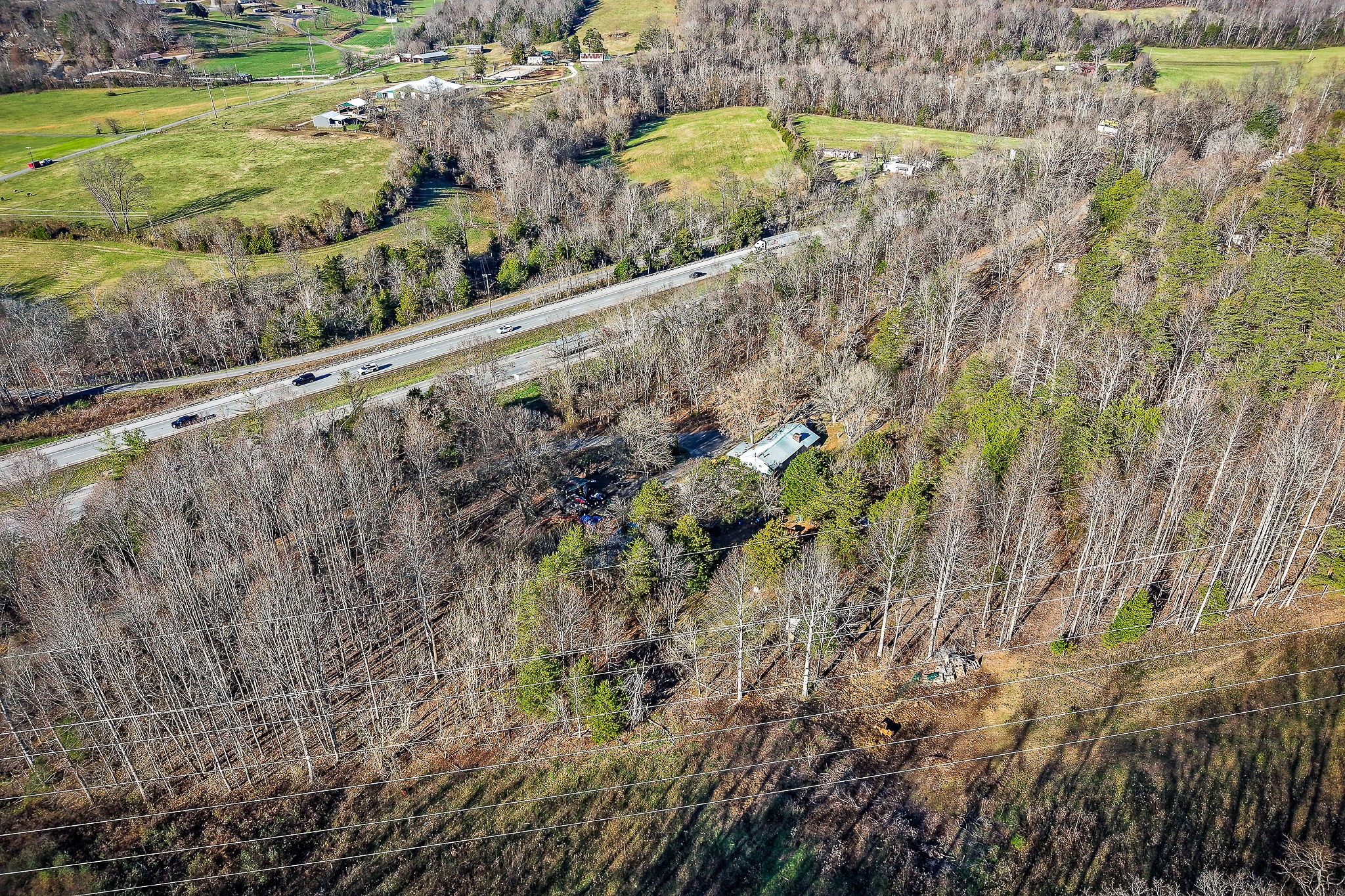 2184 Hyder Mountain Road Cookeville, TN 38506 - Photo 33 of 33 a view of a garden with a tree