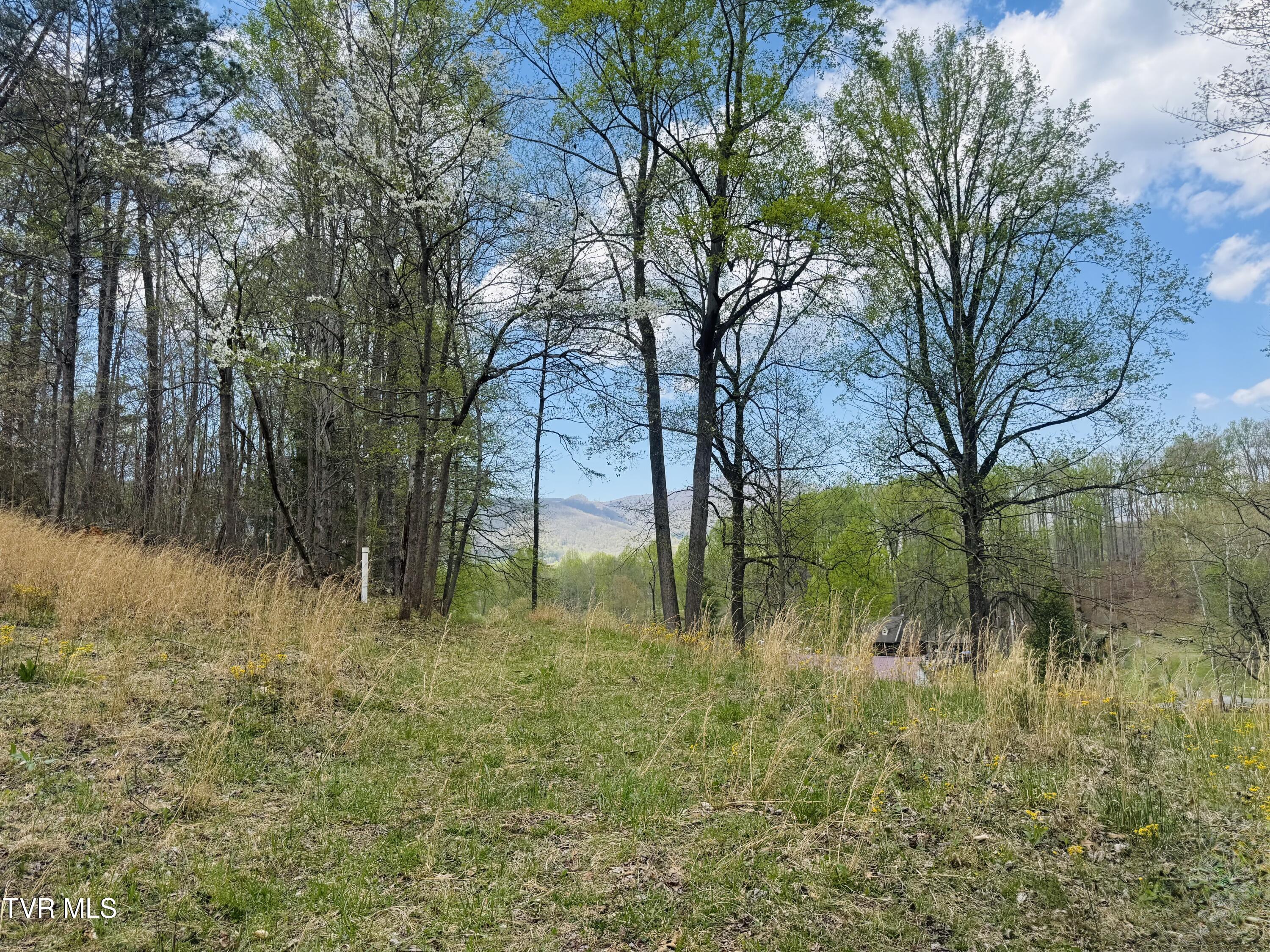 160 Bobs Hollow Road Elizabethton, TN 37643 - Photo 1 of 31 IMG_0851