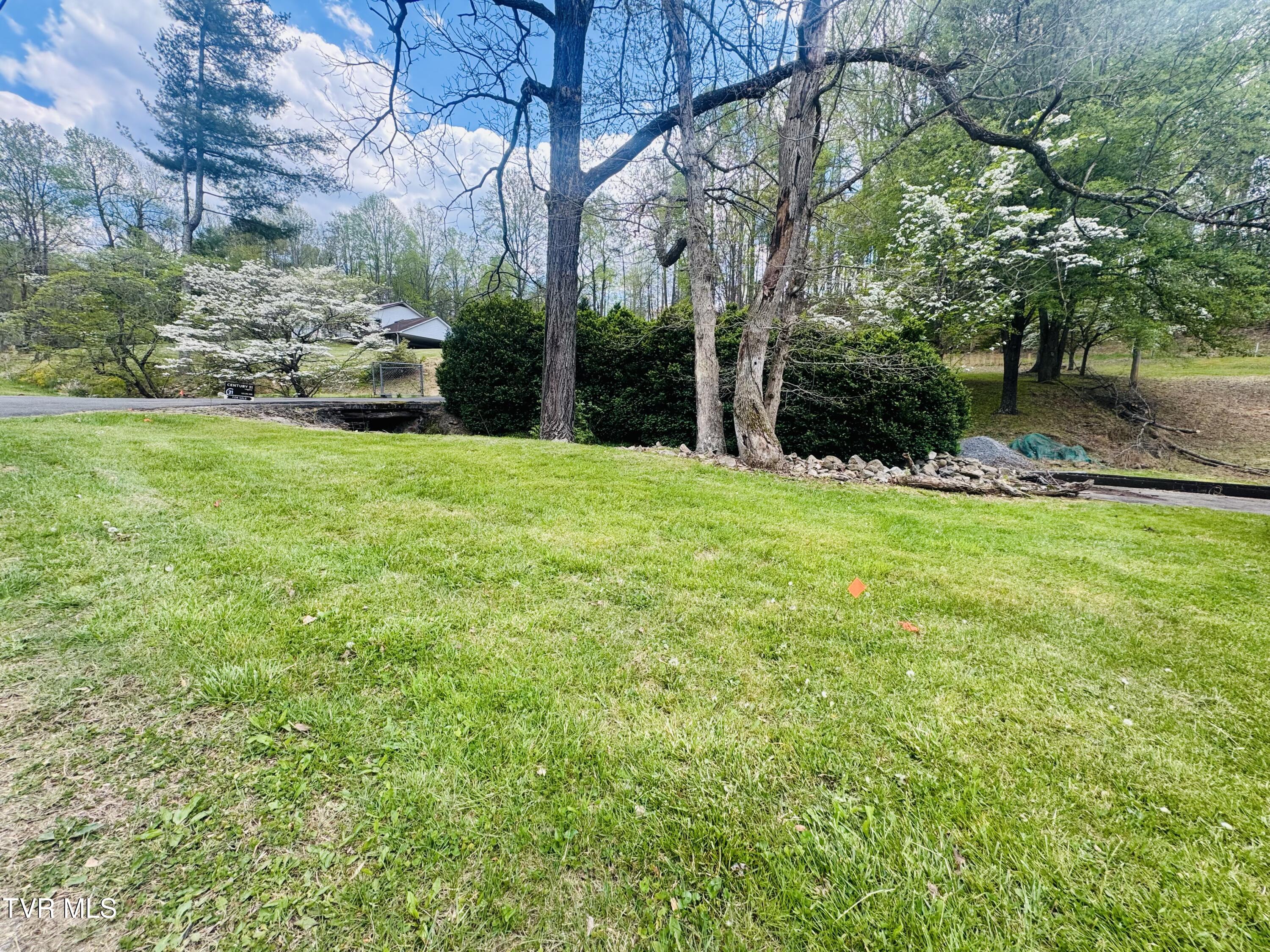 160 Bobs Hollow Road Elizabethton, TN 37643 - Photo 12 of 31 IMG_0821