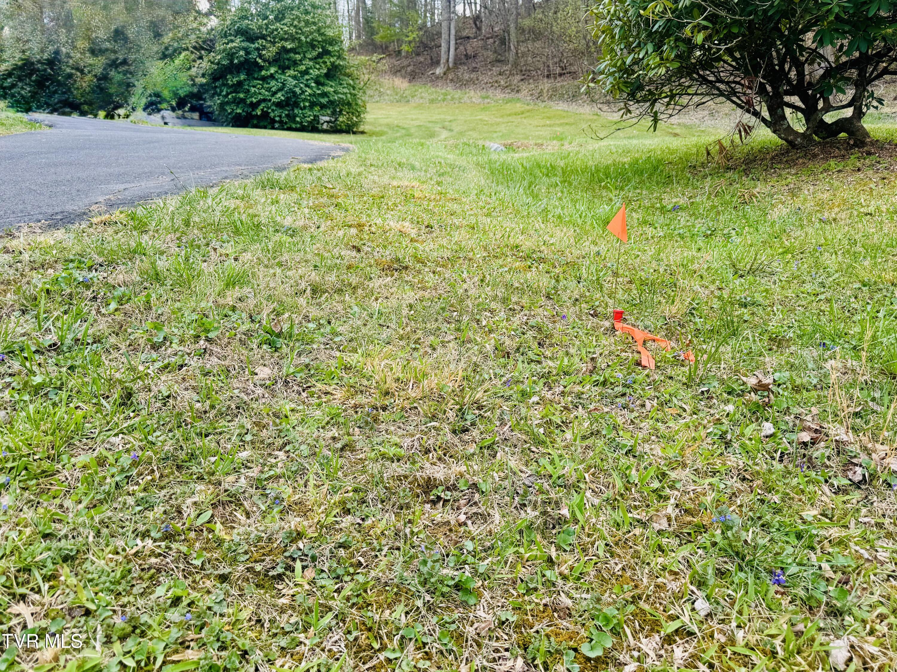 160 Bobs Hollow Road Elizabethton, TN 37643 - Photo 16 of 31 IMG_0823