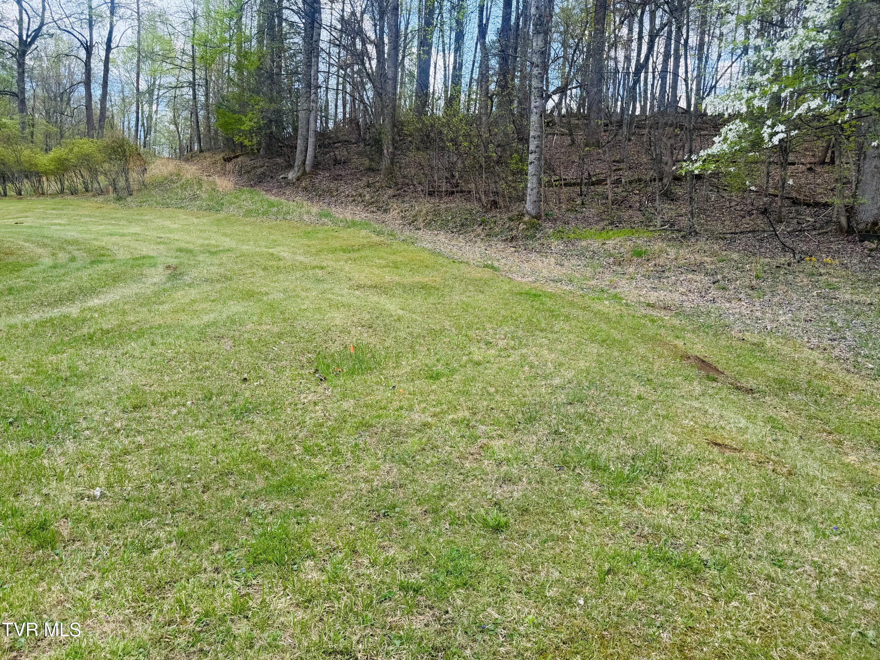 160 Bobs Hollow Road Elizabethton, TN 37643 - Photo 17 of 31 IMG_0825