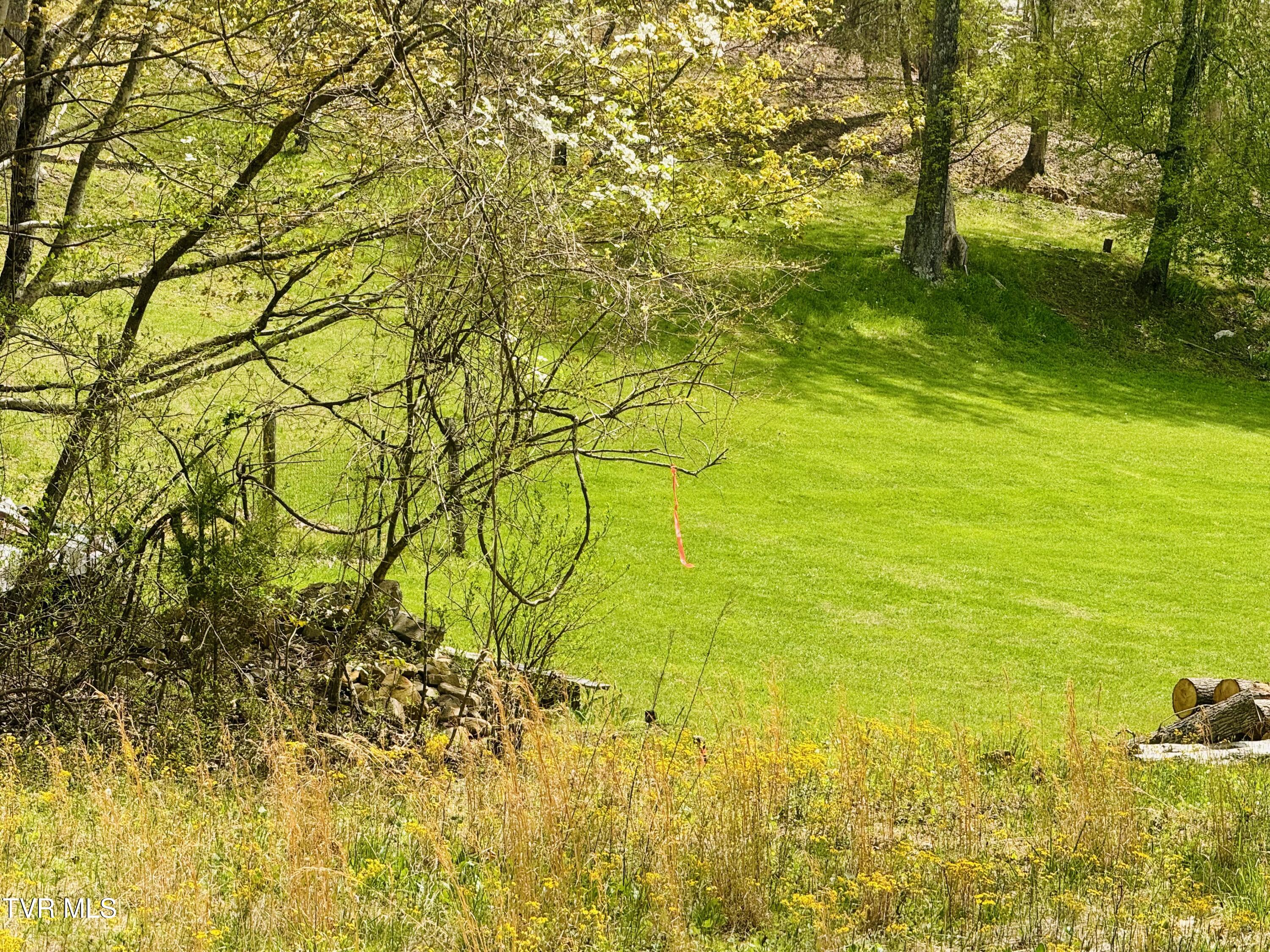160 Bobs Hollow Road Elizabethton, TN 37643 - Photo 20 of 31 IMG_0831