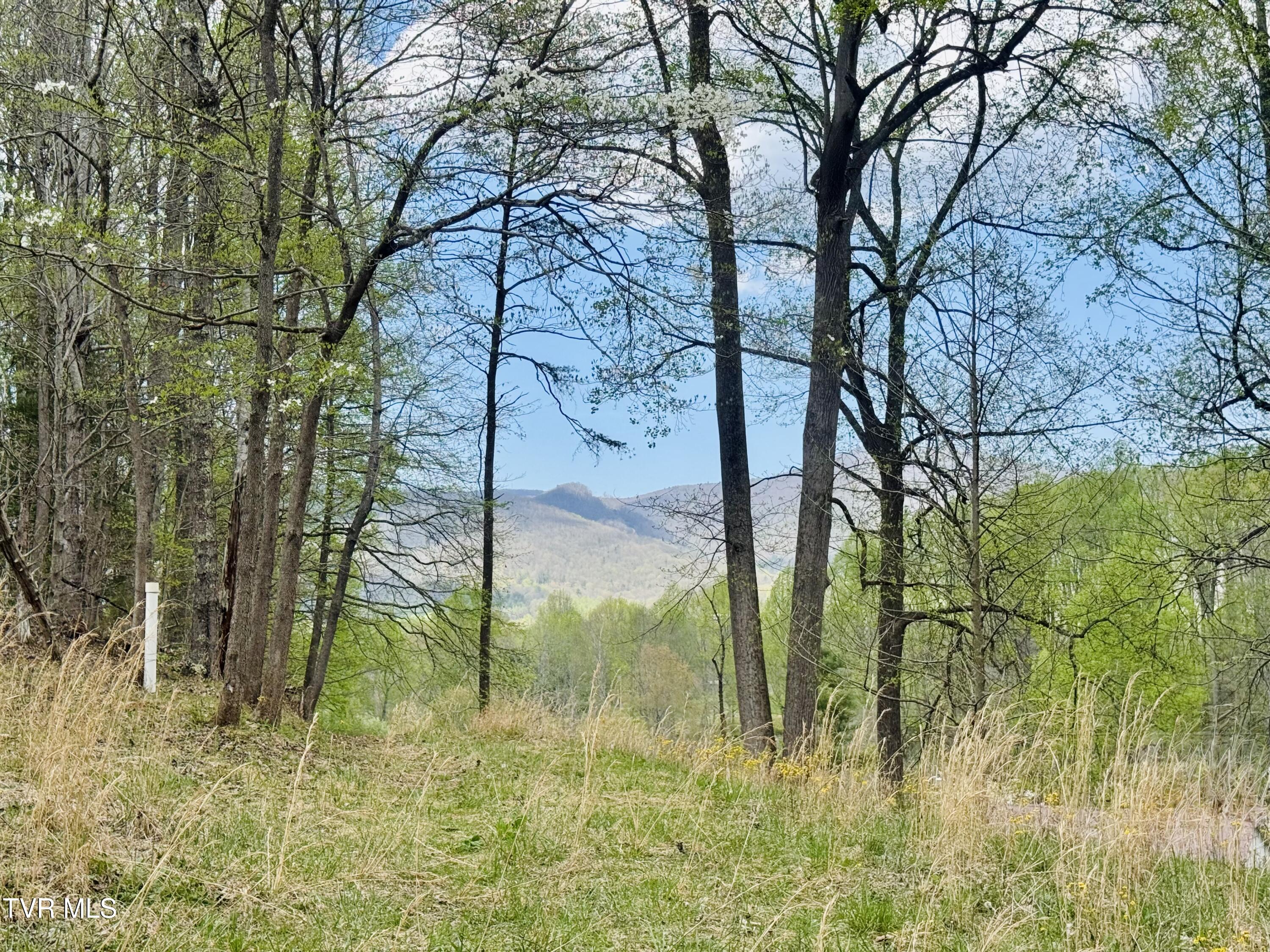 160 Bobs Hollow Road Elizabethton, TN 37643 - Photo 2 of 31 IMG_0852
