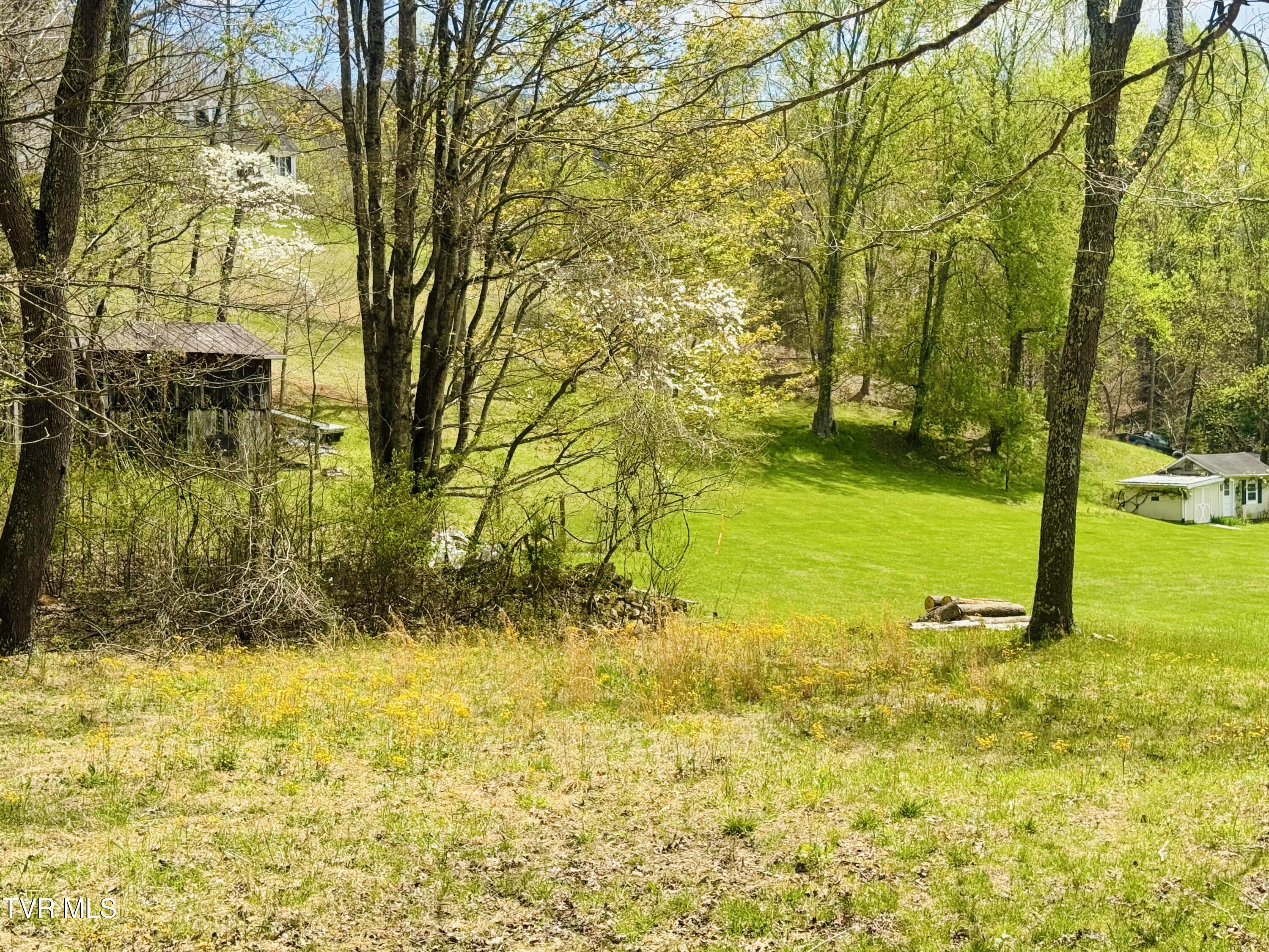 160 Bobs Hollow Road Elizabethton, TN 37643 - Photo 21 of 31 IMG_0830