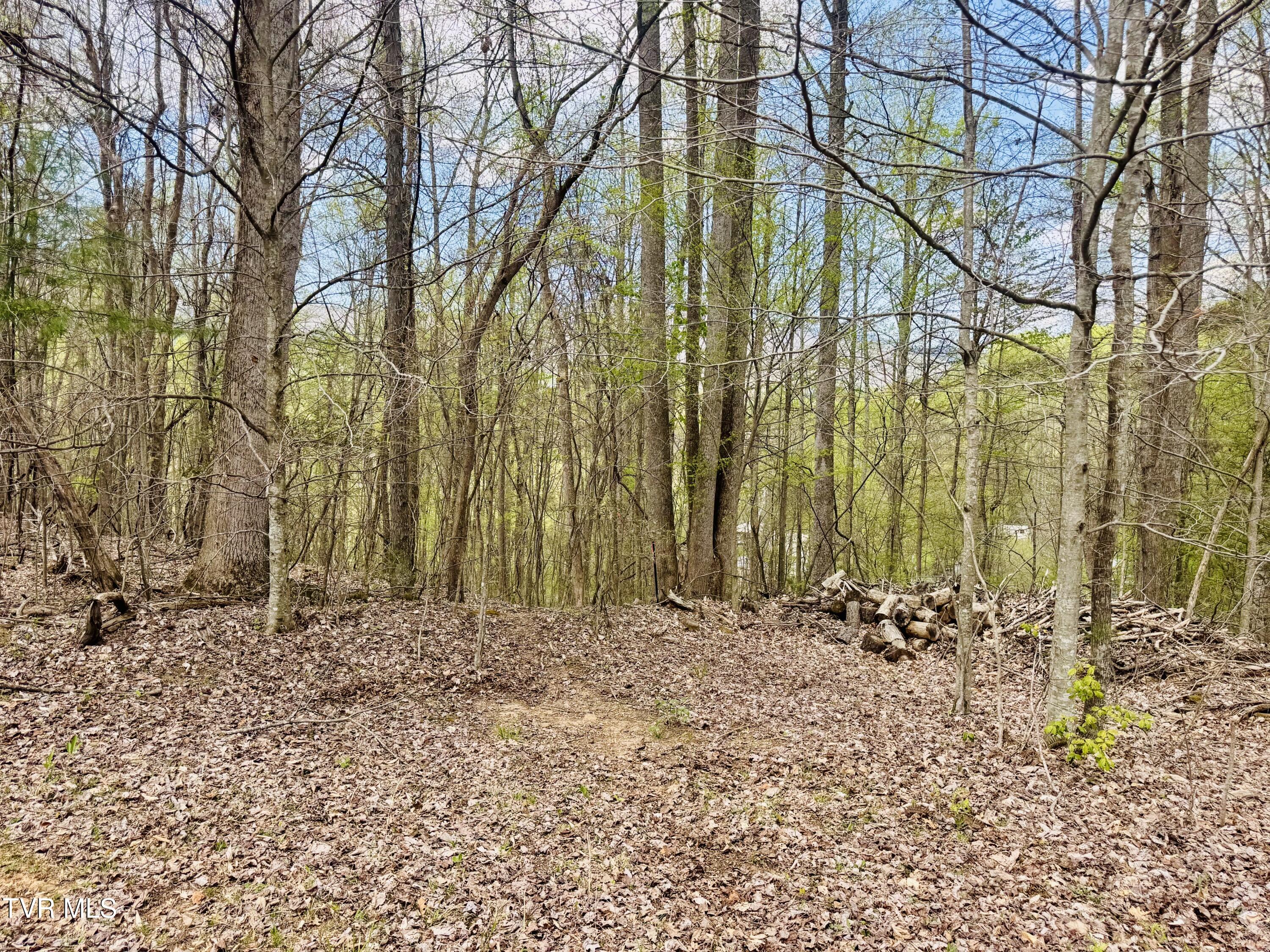 160 Bobs Hollow Road Elizabethton, TN 37643 - Photo 25 of 31 IMG_0841